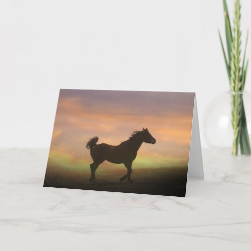 Beautiful Arabian Horse In Sunrise Note Card