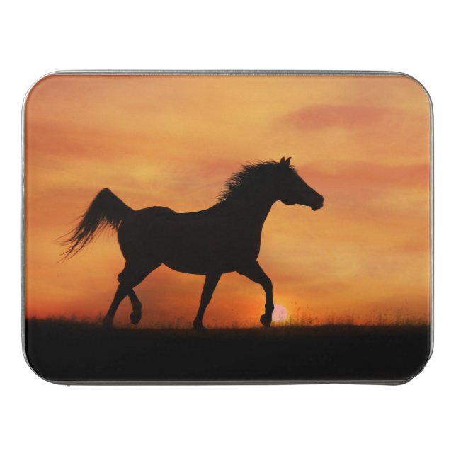 Beautiful Arabian Horse in Sunset Jigsaw Puzzle (Case Horizontal)