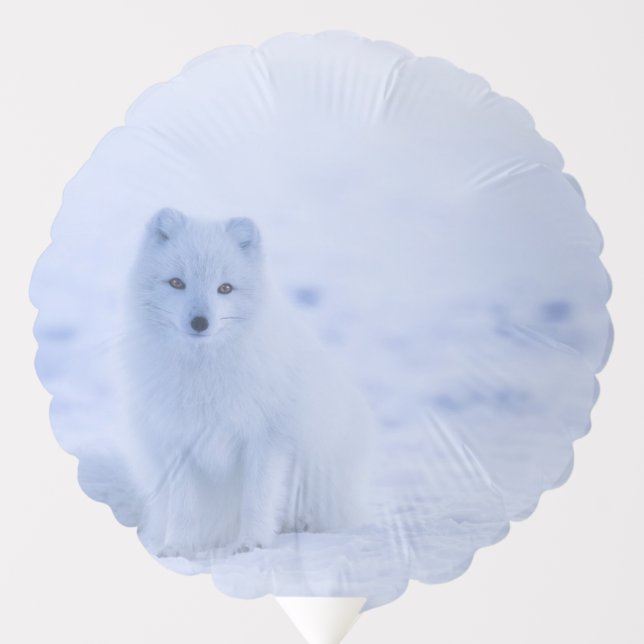 Beautiful Arctic Fox Balloon (Front)