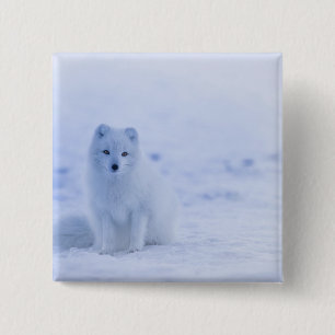Beautiful Arctic Fox Button