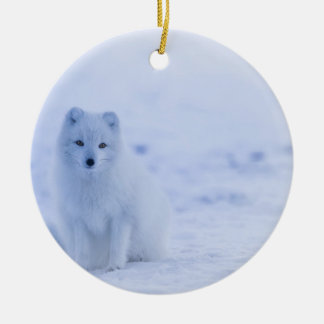Beautiful Arctic Fox Ceramic Ornament