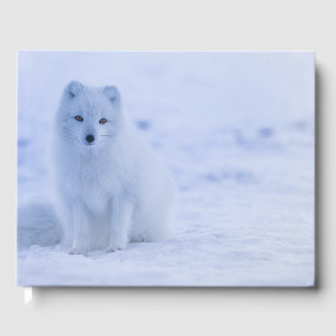 Beautiful Arctic Fox Guest Book
