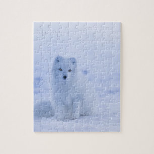 Beautiful Arctic Fox Jigsaw Puzzle