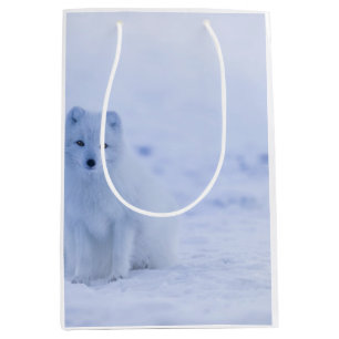 Beautiful Arctic Fox Medium Gift Bag