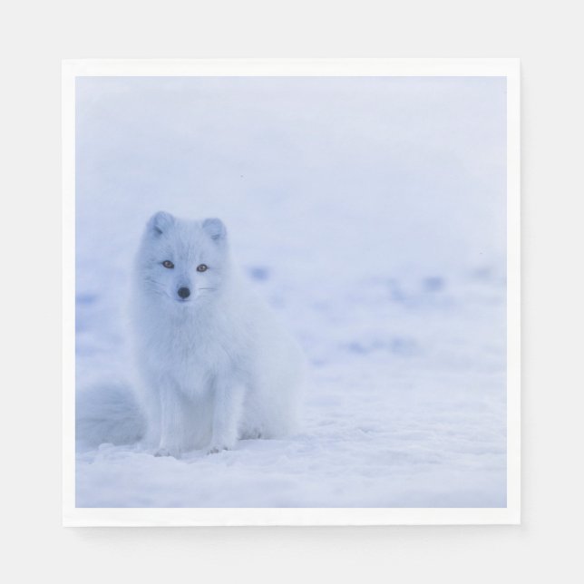 Beautiful Arctic Fox Napkins (Front)
