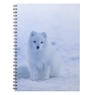 Beautiful Arctic Fox Notebook
