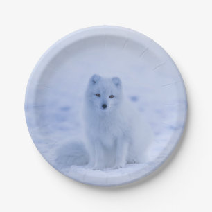 Beautiful Arctic Fox Paper Plates