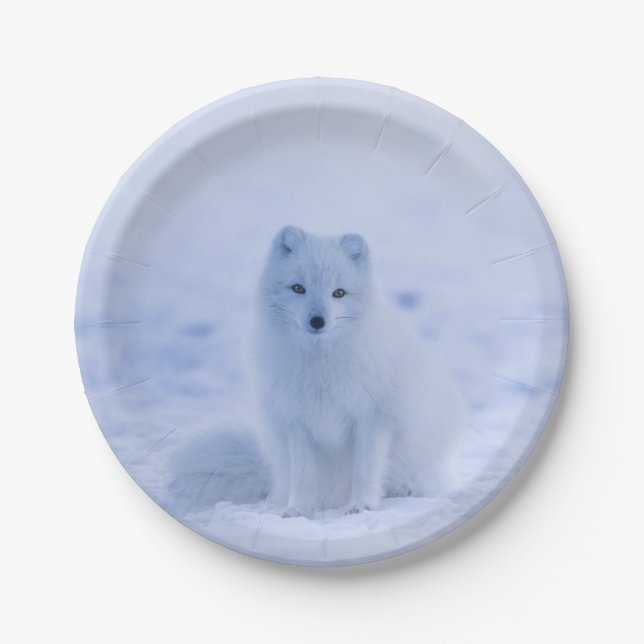 Beautiful Arctic Fox Paper Plates (Front)