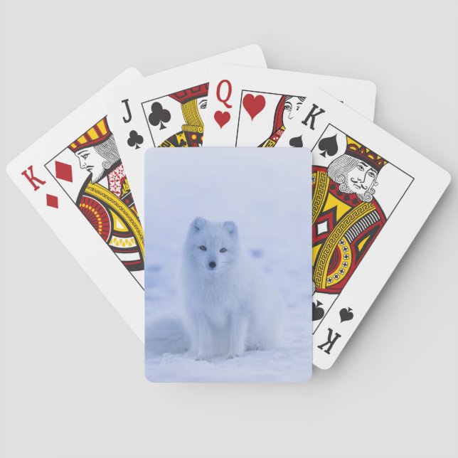 Beautiful Arctic Fox Poker Cards (Back)