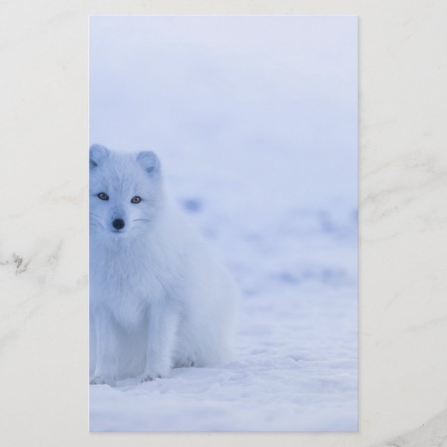 Beautiful Arctic Fox Stationery (Front)