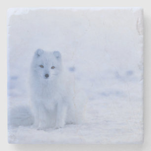 Beautiful Arctic Fox Stone Coaster