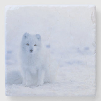 Beautiful Arctic Fox Stone Coaster