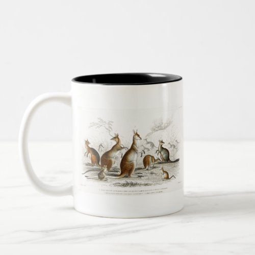 Beautiful Aroe Kangaroo Parrys Kangaroo Two_Tone Coffee Mug