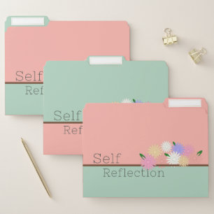 Beautiful Arrangement of Colorful Daisies on Sill File Folder