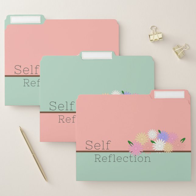 Beautiful Arrangement of Colorful Daisies on Sill  File Folder (Set)