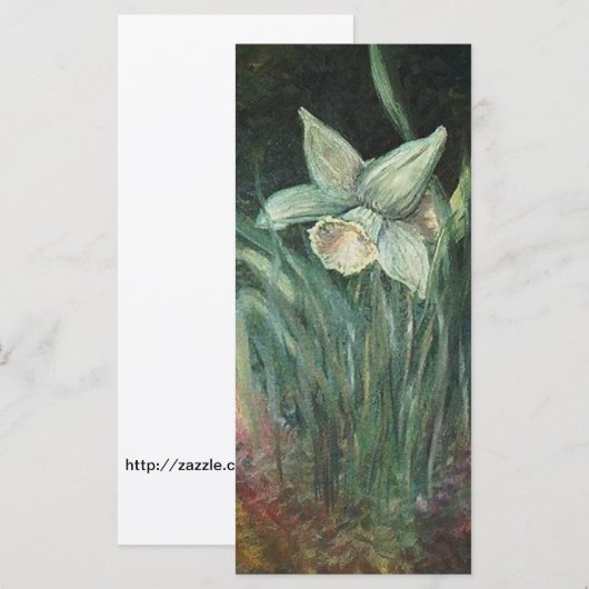 Beautiful ART of a softly hued Daffodil (Front/Back)
