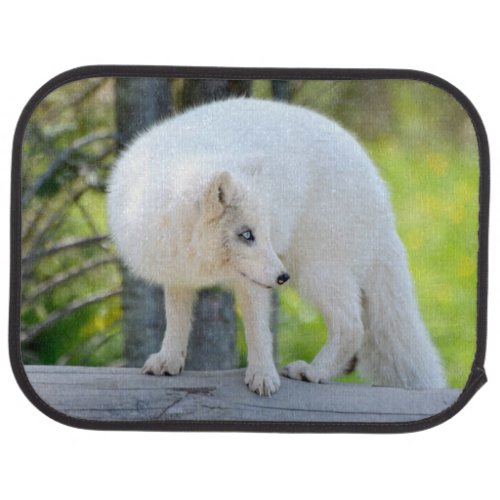 Beautiful Artic Fox Car Floor Mat