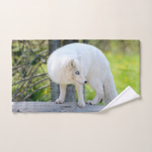 Beautiful Artic Fox Hand Towel