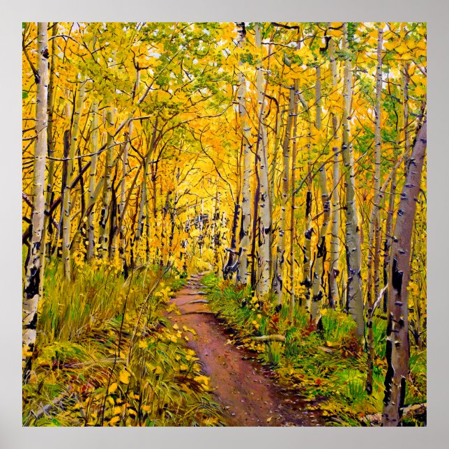 Beautiful Aspen Trees in Autumn Splendor Poster (Front)