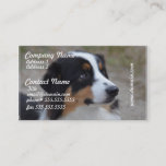 Beautiful Aussie Business Card