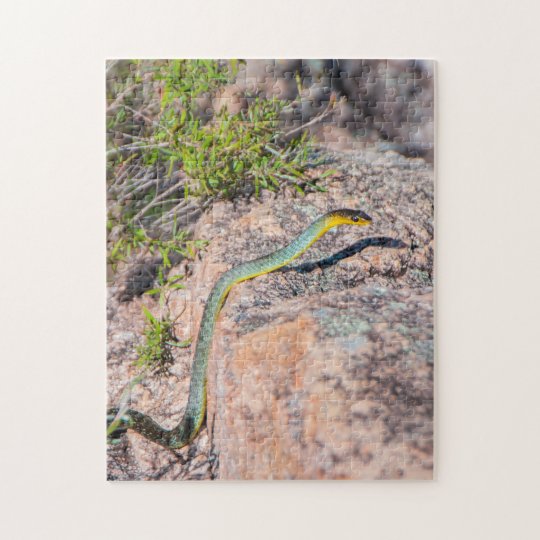 Beautiful Australian Green Tree Snake, 252 pieces Jigsaw ...