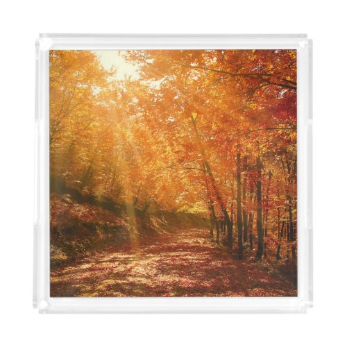 Beautiful autumn acrylic tray