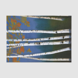 Beautiful Autumn Birch Tissue Paper