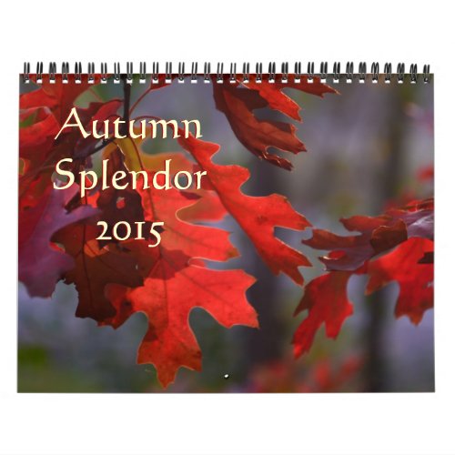 Beautiful Autumn Foliage Photography Calendar
