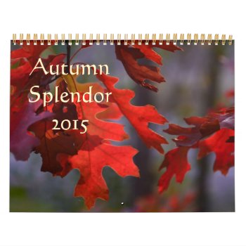 Beautiful Autumn Foliage Photography Calendar by Vanillaextinctions at Zazzle