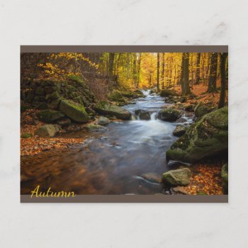 Beautiful Autumn Forest Postcard by storeman at Zazzle