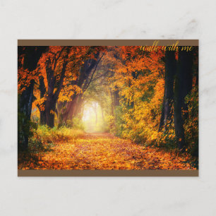 Beautiful Autumn Forest Postcard