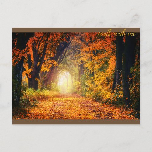 Beautiful Autumn Forest  Postcard