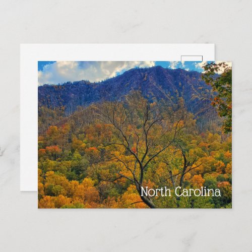 Beautiful Autumn In Maggie Valley North Carolina Postcard