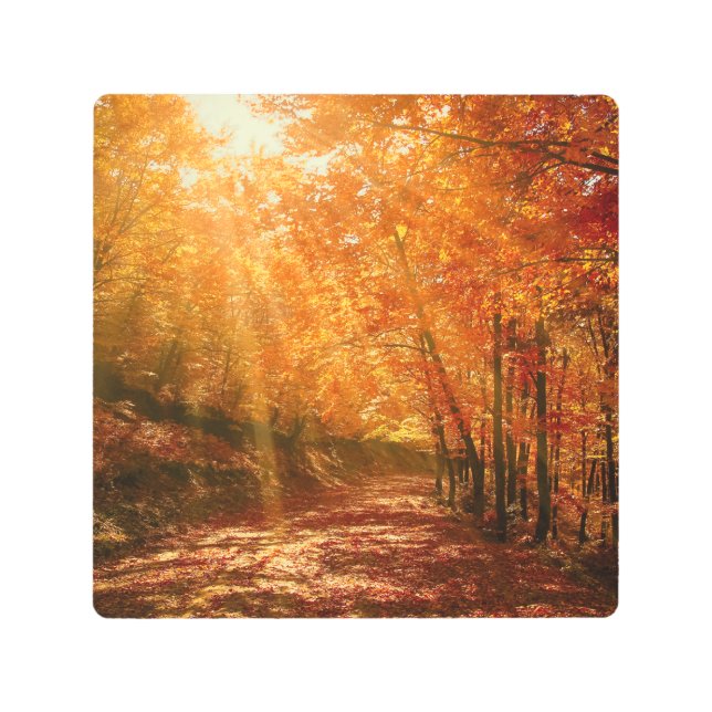 Beautiful autumn metal print (Front)