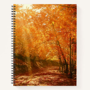Beautiful autumn notebook