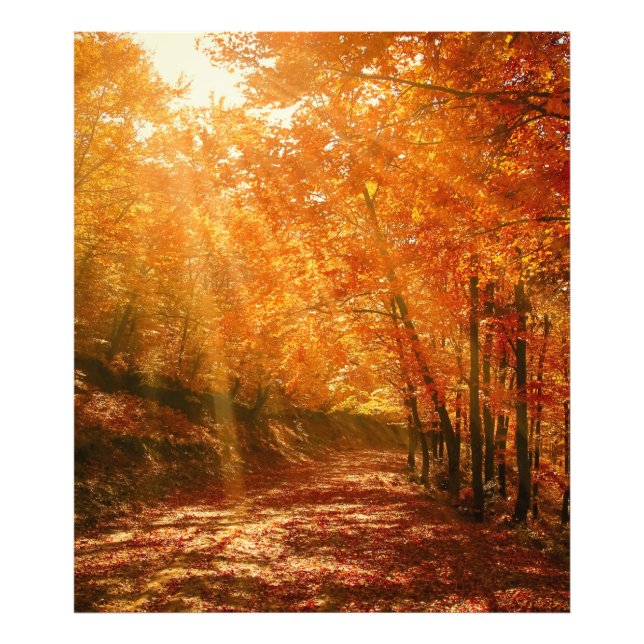 Beautiful autumn photo print (Front)