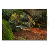 Beautiful Autumn Scene (Front Horizontal)