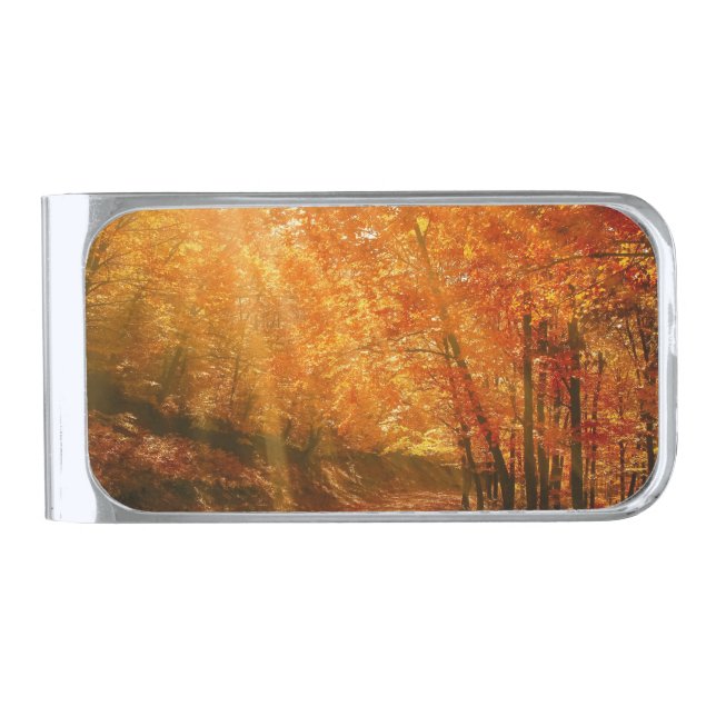Beautiful autumn silver finish money clip (Front)