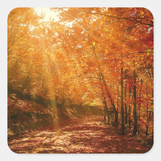 Beautiful autumn square sticker (Front)