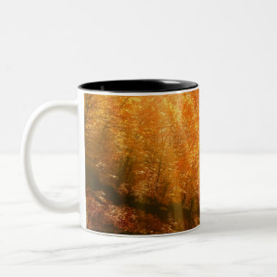 Beautiful autumn Two-Tone coffee mug