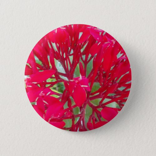 Beautiful Awesome Red flowers Pinback Button