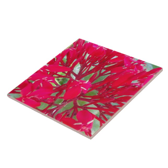 Beautiful Awesome Red flowers Tile (Side)