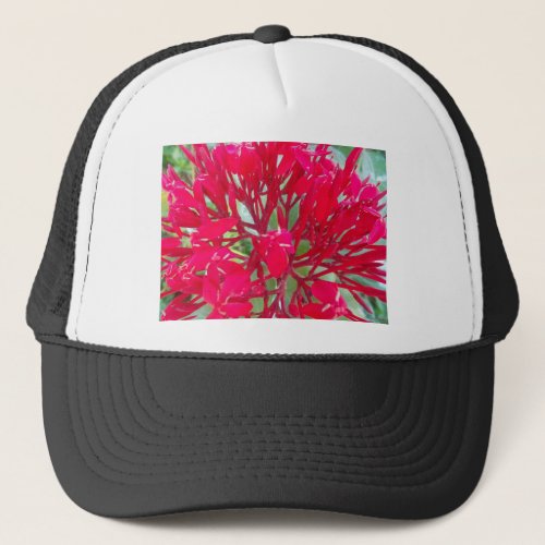Beautiful Awesome Red flowers Trucker Hat