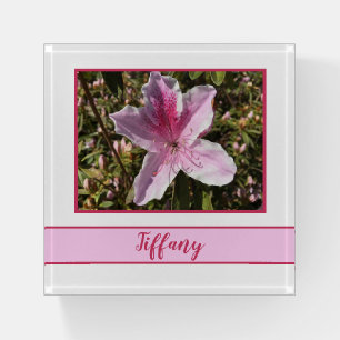 Beautiful Azalea Floral Paperweight