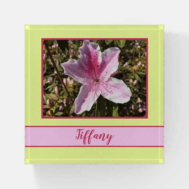 Beautiful Azalea inside of a garden Paperweight (Front)