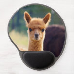 Beautiful Baby Alpaca Gel Mousepads<br><div class="desc">Our Alpaca Gel Mousepads have a beautiful portrait photo of a cute baby alpaca with beautiful big eyes. His name is Carmine and he is so cool... what an adorable cute baby face! Alpacas are different from other farm animals because they are always smiling and they look happy. We hope...</div>