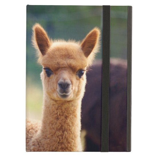 Beautiful Baby Alpaca iPad Air Case