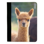 Beautiful Baby Alpaca Padfolio (Front)
