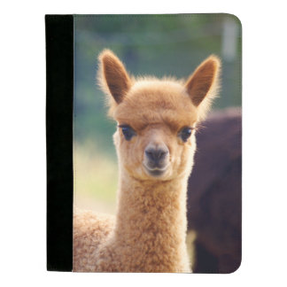 Beautiful Baby Alpaca Padfolio