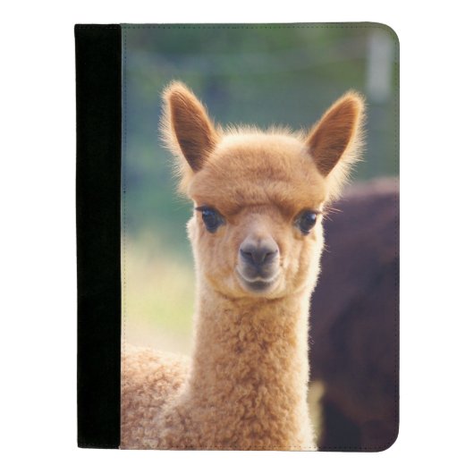Beautiful Baby Alpaca Padfolio (Front)